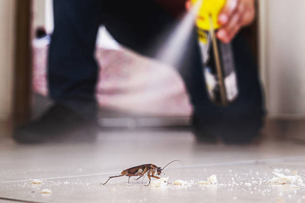 Best Pest Control for Businesses  in Sawmills, NC