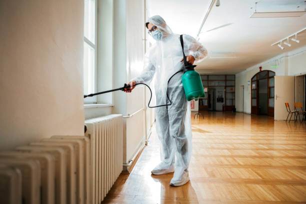 Best Pest Removal Services  in Sawmills, NC